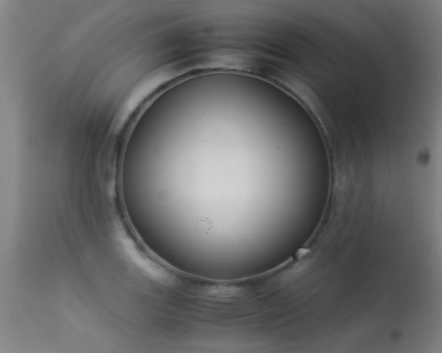 X0000113291131200909211057