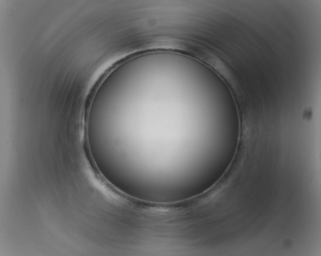 X0000113291132200909211058