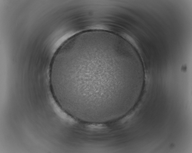 X0000113291133200909211058