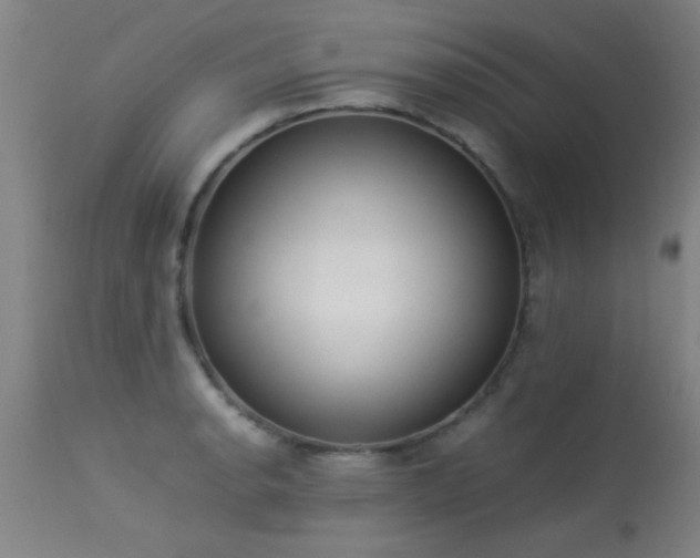 X0000113291134200909211058