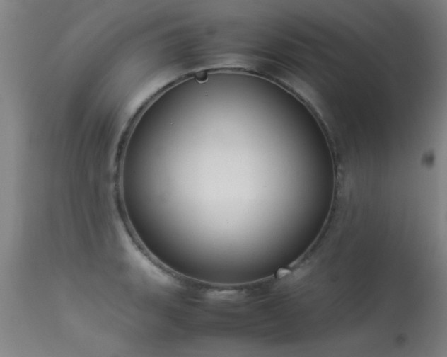 X0000113291135200909211058