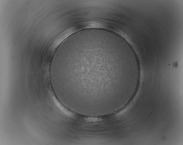 X0000113291137200909211058