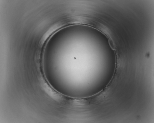 X0000113291138200909211058