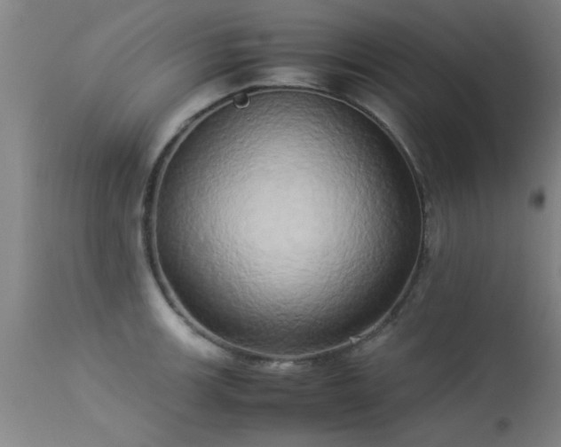 X0000113291139200909211058