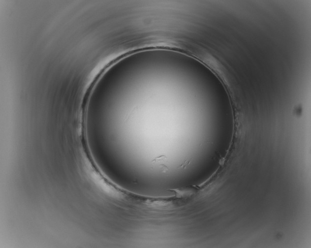 X0000113291140200909211058