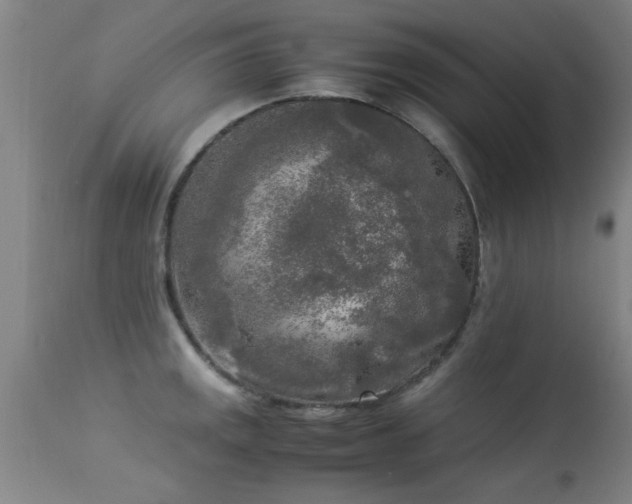 X0000113291141200909211058