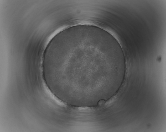 X0000113291142200909211058