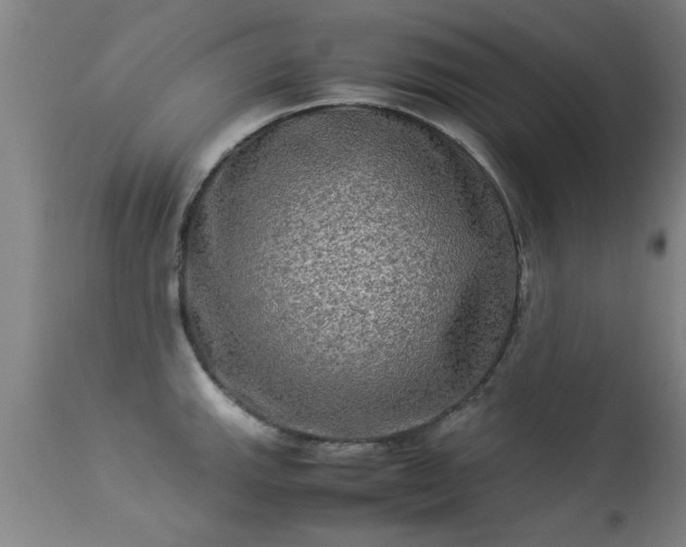 X0000113291143200909211058