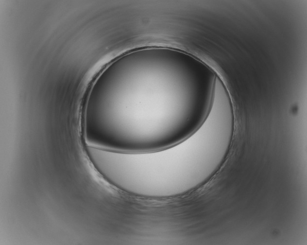 X0000113291144200909211058