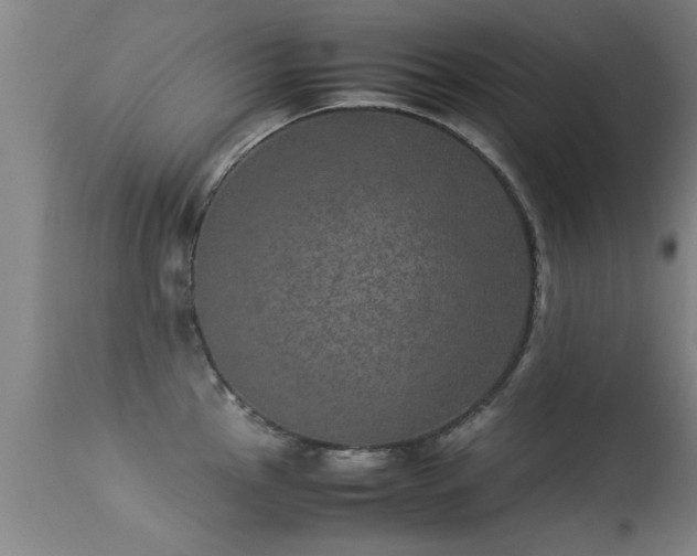 X0000113291145200909211058