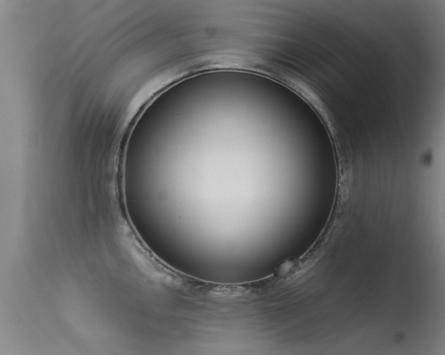 X0000113291146200909211058