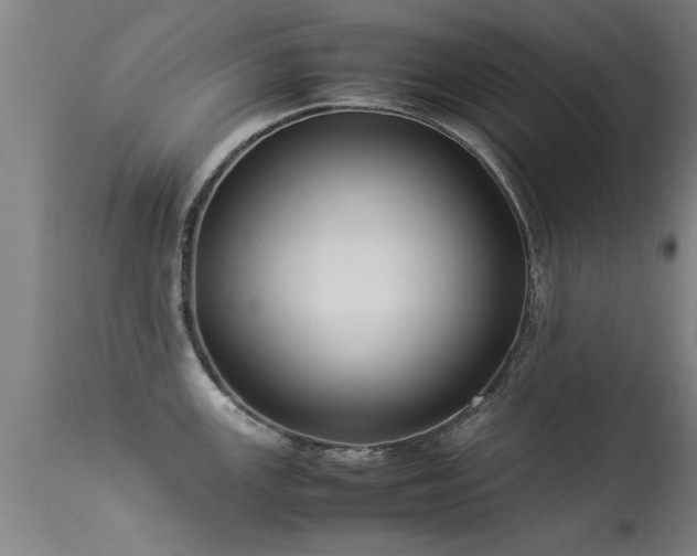 X0000113291147200909211058