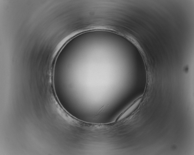 X0000113291148200909211058