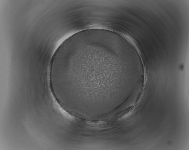 X0000113291149200909211058