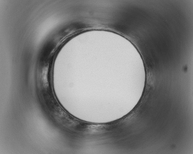 X0000113291150200909211058