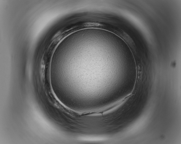 X0000113291151200909211058