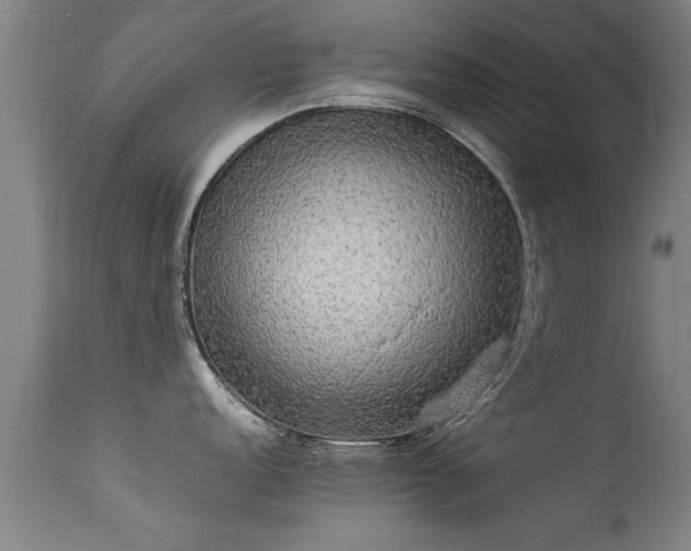 X0000113291152200909211058