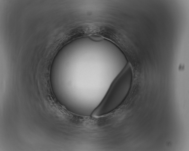 X0000113291153200909211057