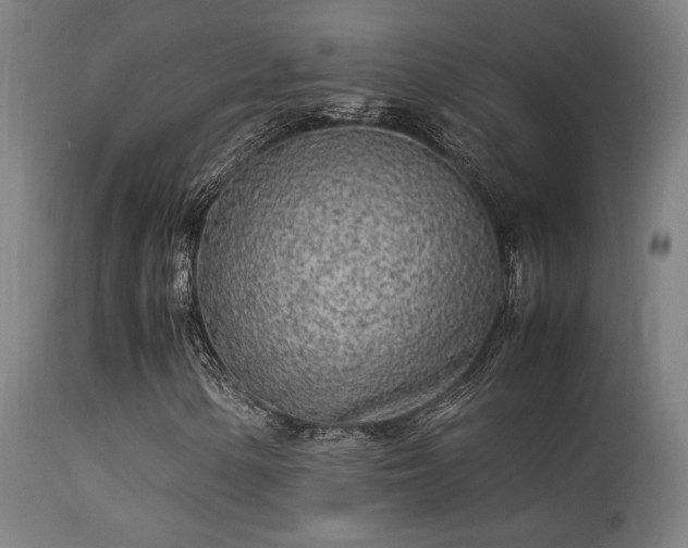 X0000113291154200909211057