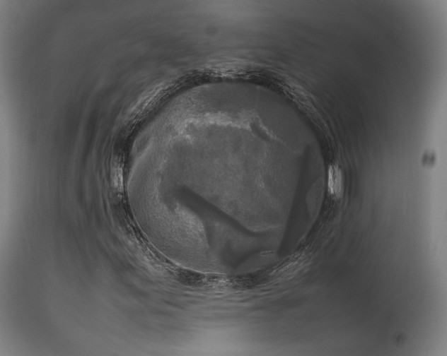 X0000113291155200909211057