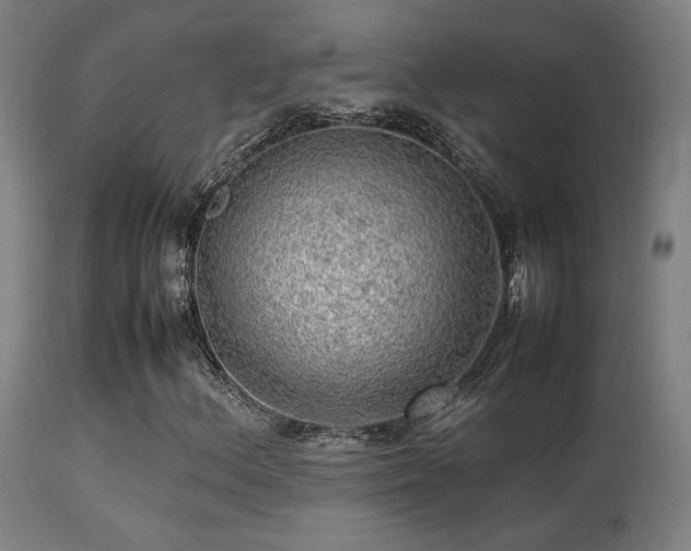 X0000113291156200909211057