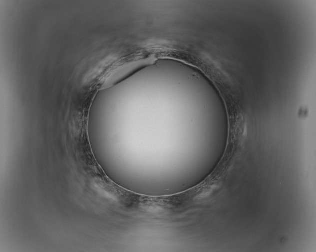 X0000113291157200909211057