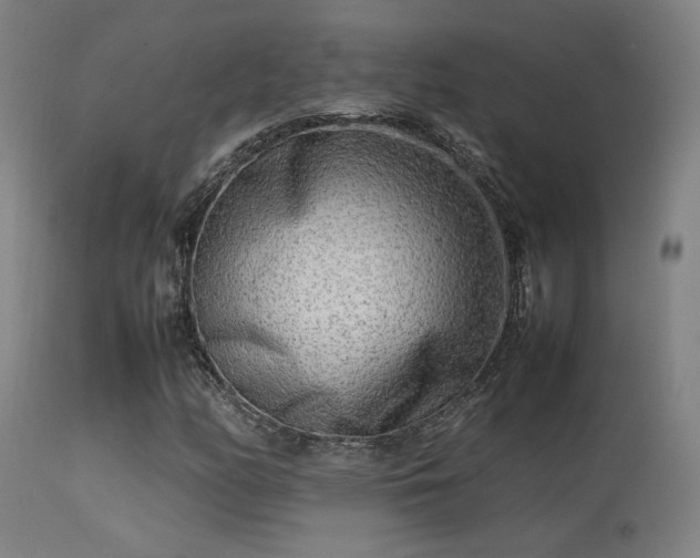 X0000113291158200909211057