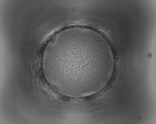 X0000113291159200909211057