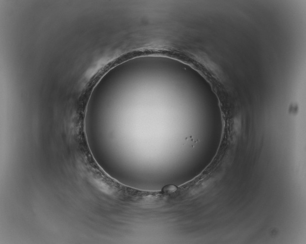 X0000113291160200909211057