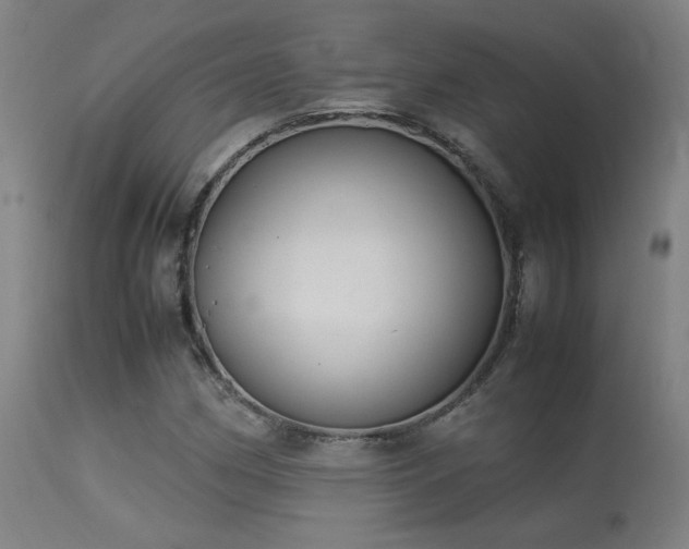 X0000113291162200909211057