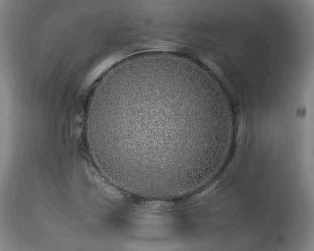 X0000113291163200909211057