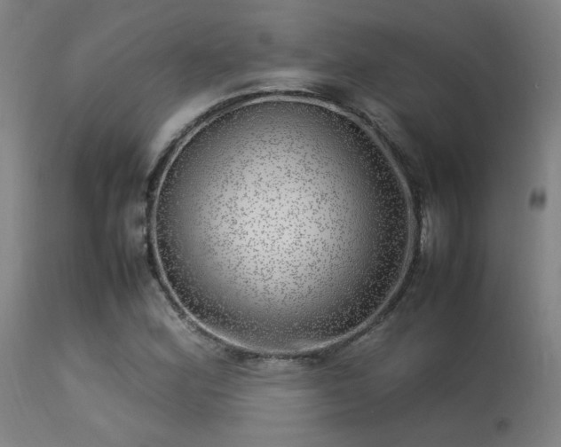 X0000113291164200909211057