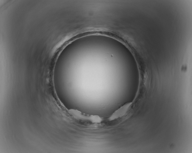 X0000113291165200909211057