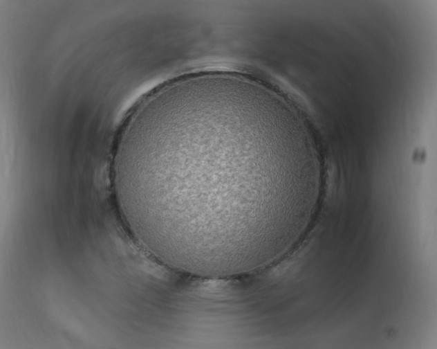 X0000113291166200909211057