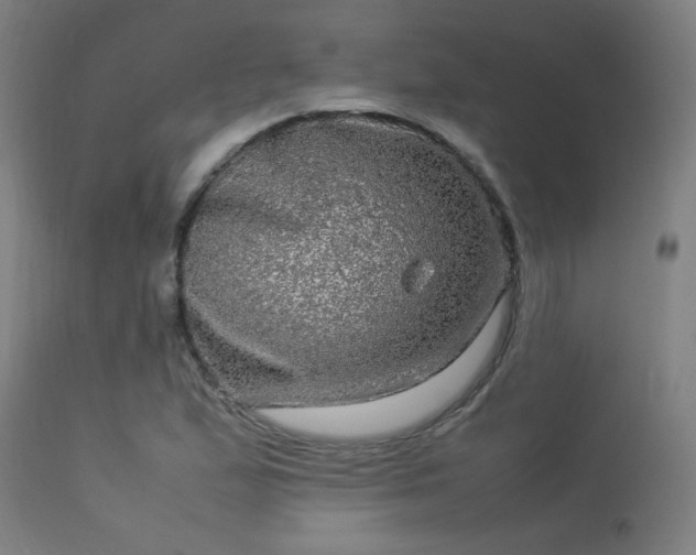 X0000113291167200909211057