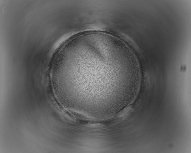 X0000113291168200909211057