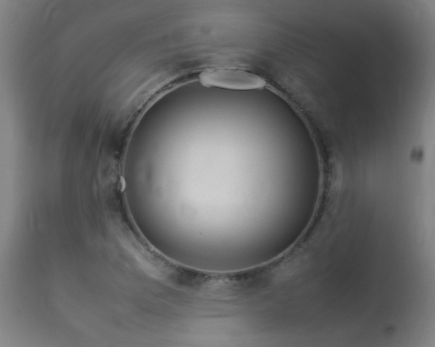 X0000113291169200909211057