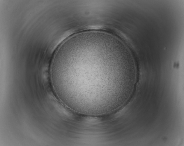 X0000113291170200909211057