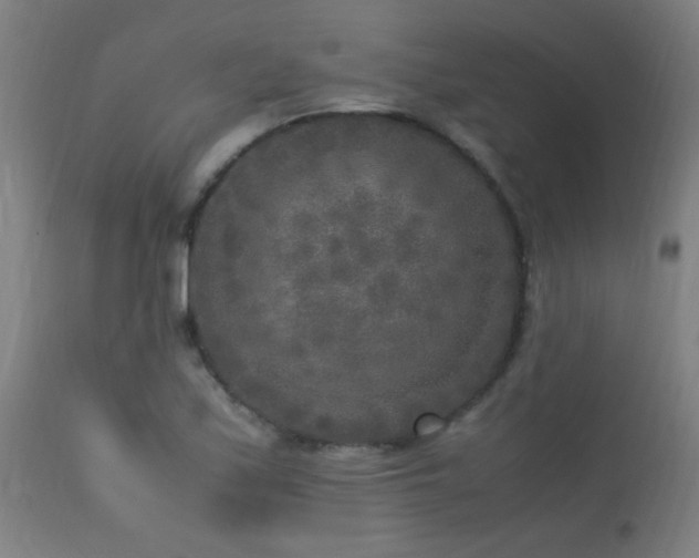 X0000113291171200909211057