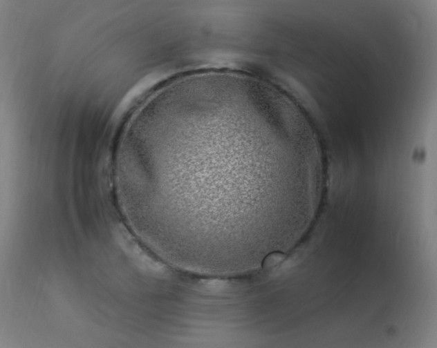 X0000113291172200909211057