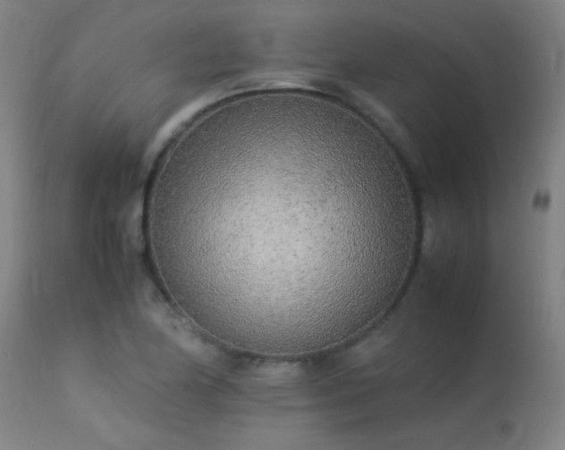 X0000113291174200909211057