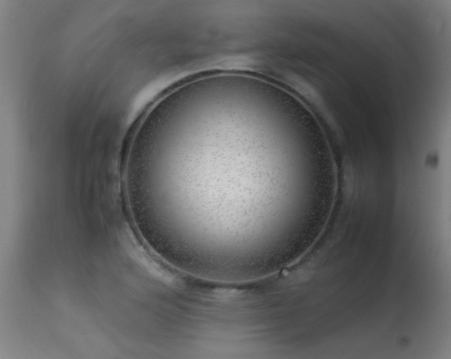 X0000113291176200909211057