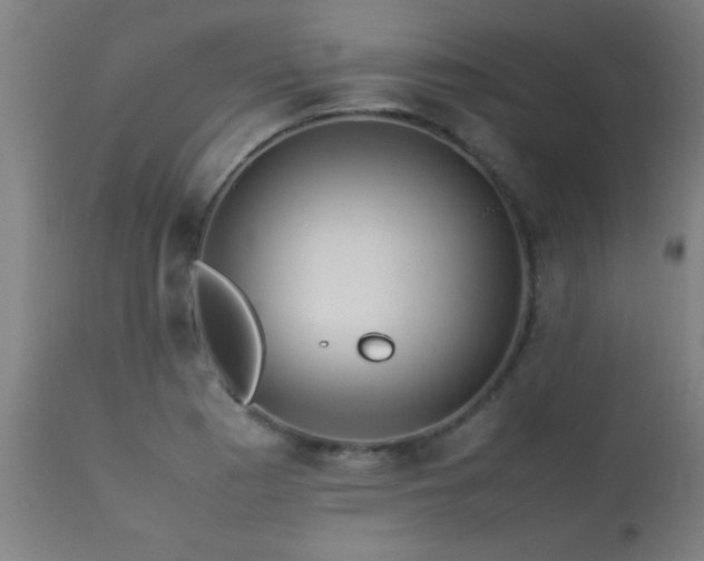 X0000113291177200909211057