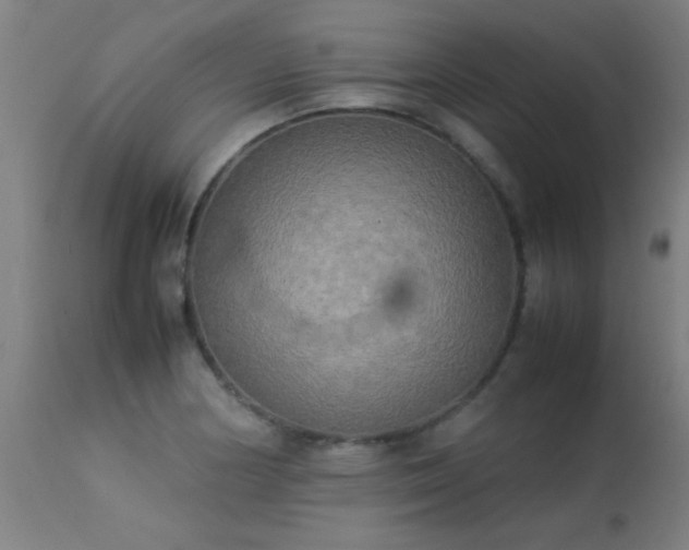 X0000113291178200909211056