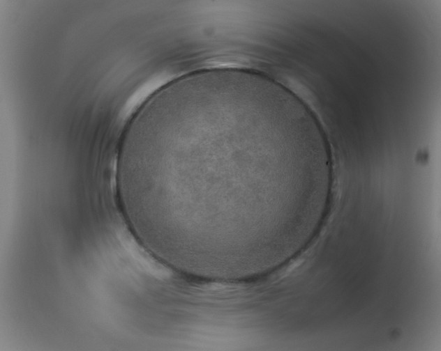 X0000113291179200909211056