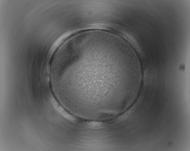 X0000113291180200909211056