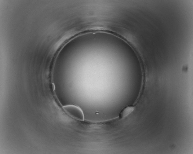 X0000113291181200909211056