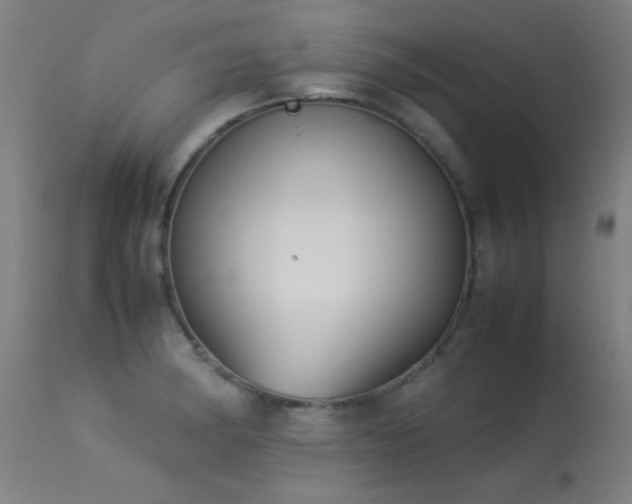 X0000113291182200909211056