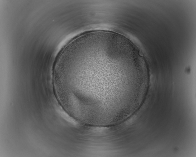 X0000113291184200909211056