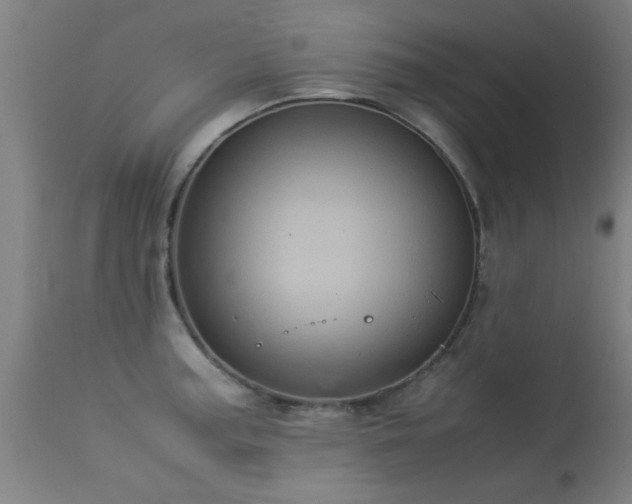 X0000113291187200909211056